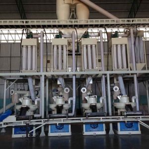 Dây chuyền sản xuất viên nén Công nghệ Trung Quốc Yulong, Rotex công suất 2-4 tấn/giờ