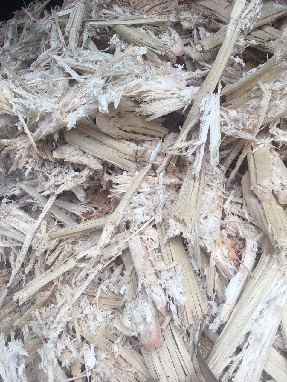 Bã mía Sugarcane-dreg cane-trash