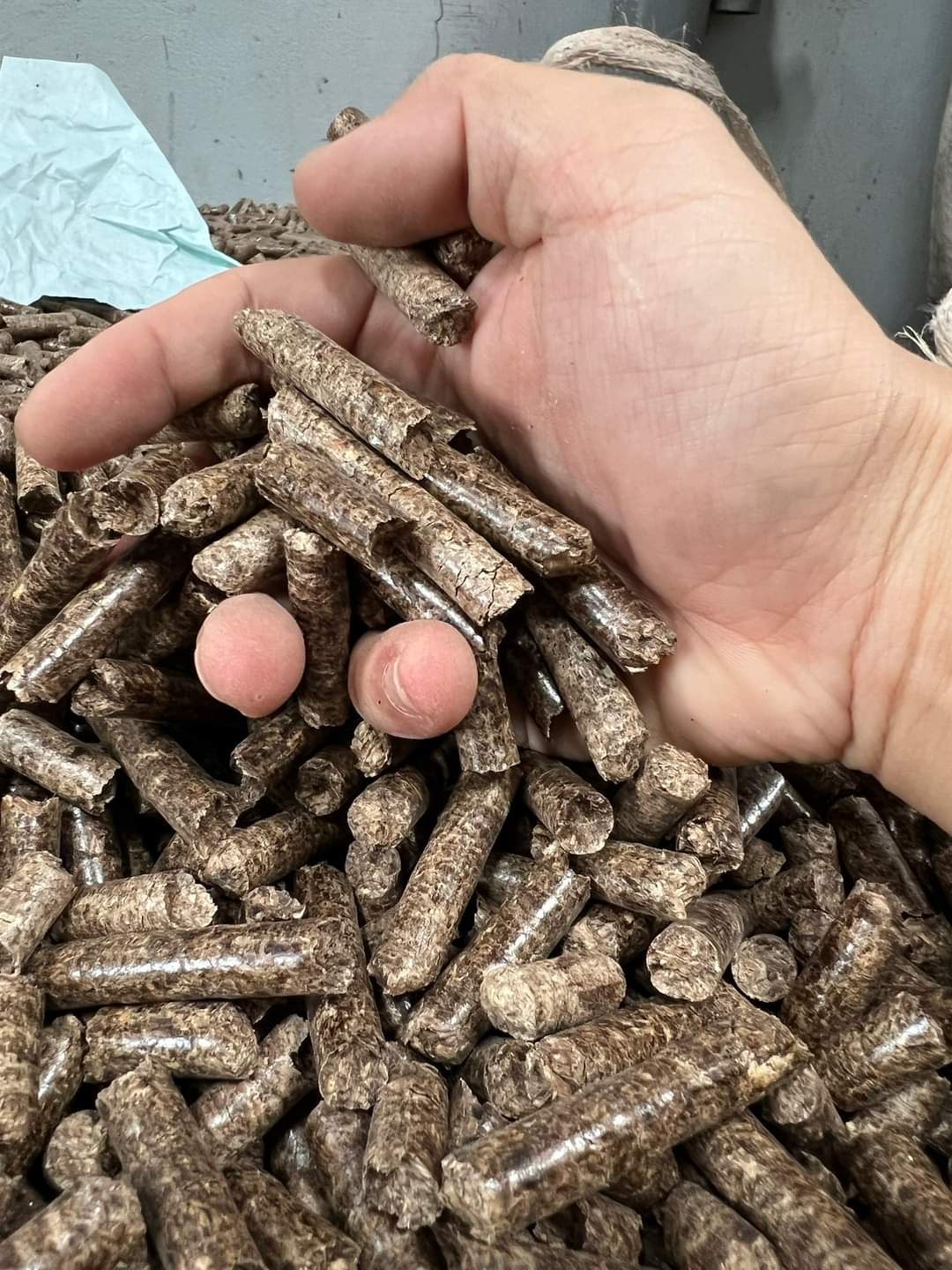Viên nén gỗ Wood pellet 8mm Viên nén mùn cưa lót chuồng trại