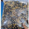 Khoen ore mắt cáo 6mm Bằng thau không gỉ Khoen bọc sơn đen bóng Khuy mắt cáo bấm vải Phụ liệu may mặc túi xách